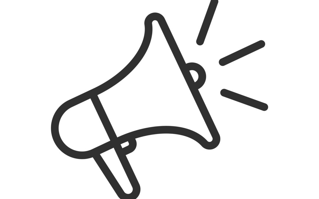 Customer‑Facing GenAI Chatbots: Assessing Features and Benefits in Provider Marketing